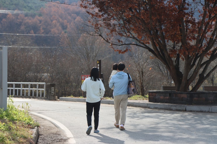 [기자단] 음성 반려견힐링놀이터 원남농촌테마공원