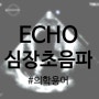 [의학용어]ECHO