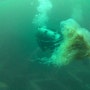 [양양 다이빙] 8월 한여름 다이빙~~ #한여름이지만 바다속은 춥습니다!!#남애스쿠버리조트