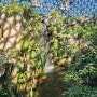 거제식물원 정글돔, 정글타워에서 놀아보기