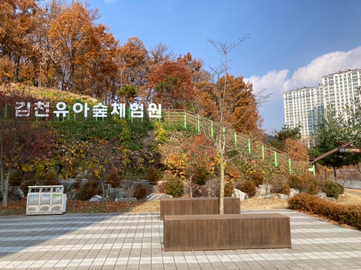 김천녹색미래과학관+유아숲체험원:)