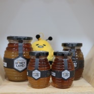 제주도 친환경 꿀벌체험 '그린비즈' (ft.바른프린팅연구소)