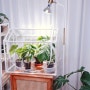 숲온 가정용 미니온실 만들기 겨울식물관리
