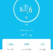 2201121-1127 식단.체중기록_거북이다이어터🐢