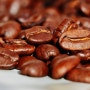 커피가 당뇨 발병 위험 낮춘다