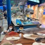 아이들과 가기 좋은 제주 성산 해양동물박물관