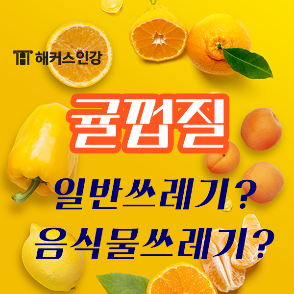 귤껍질 일반쓰레기? 음식물쓰레기? 구분해 보자! : 네이버 블로그