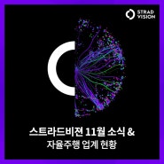 스트라드비젼 11월 소식 & 자율주행 업계 현황