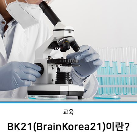 BK21(BrainKorea21) 두뇌 한국21이란? : 네이버 블로그
