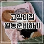 7냥이 고양이집 월동 준비하기(방한숨숨집 & 전기매트)