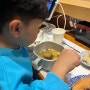 구월동 선수촌 맛집 스시민 회전초밥 :아이와 가기 좋은 외식장소