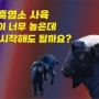 [59] 흑염소 사육 - 흑염소 가격이 너무 높은데 지금 시작해도 될까요?