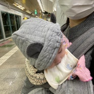 남매맘 육아일기 👶🏻👧🏻 | 전쟁같은육아