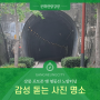강릉 포토존, 옛 영동선 노암 터널 감성 돋는 사진 명소