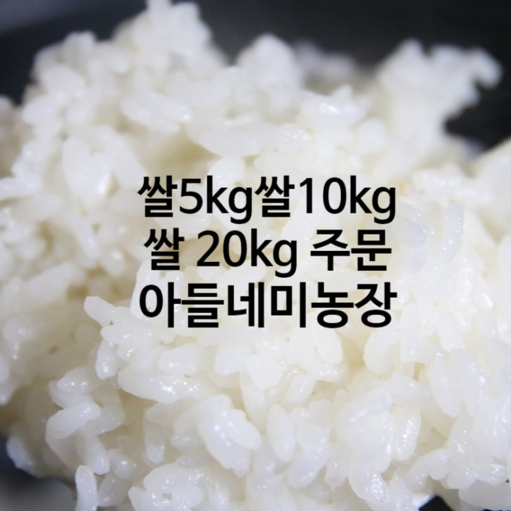 쌀 5kg 쌀 10kg 쌀 20kg 인터넷 쌀주문 아들네미농장 : 네이버 블로그