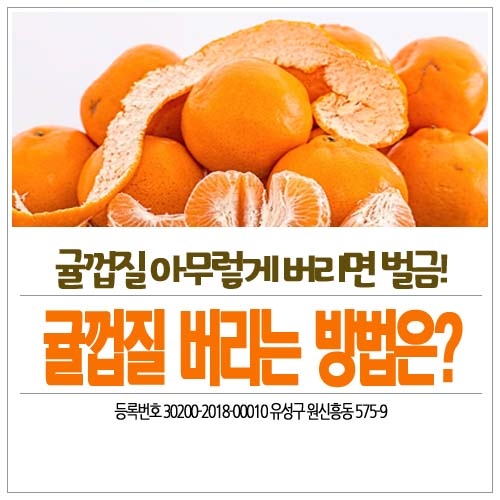 귤껍질 일반쓰레기? 음식물쓰레기? 귤껍질 분리수거 무엇으로 해야하죠? : 네이버 블로그