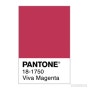 2023 올해의 컬러! 비바 마젠타(Viva Magenta♥️) #팬톤 #pantone #18-1750