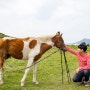 [늦은봄, 제주도] 곽지해수욕장&섭지코지