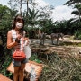 싱가포르 동물원, 리버원더스, 나이트 사파리 저렴하게 가는법