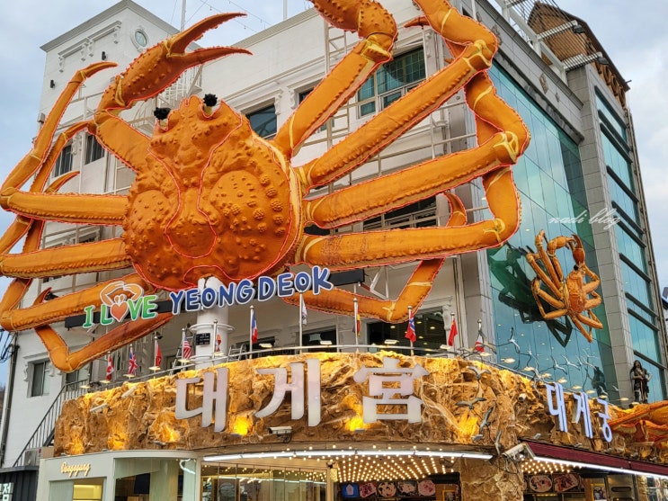 영덕대게 가격 '대게궁' 내돈내산 박달대게 맛집 코스요리 : 네이버 블로그