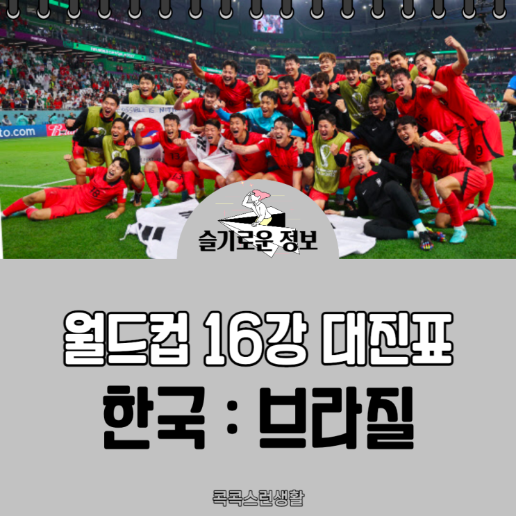 월드컵 16강 대진표 : 한국 브라질 경기 일정 : 네이버 블로그