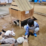 온동물농장 시흥 동물먹이주기체험, 서울 근교 실내동물원