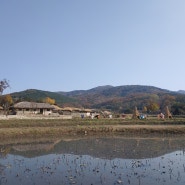 아산여행 :: 가을이 내려앉은 아산 외암리 민속마을(ft. 미씽2 촬영지)