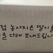 포천 아딸농원 완숙설향딸기