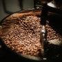 [신박한 벙커] 기후 위기 유발자? 커피 향기 속에 가려진 불편한 진실