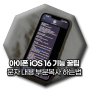 아이폰 iOS 16 기능 꿀팁, 문자 부분복사 하는법