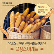 빵이 유네스코 무형문화유산이 되었다고?👀 유네스코 인류무형문화유산이 된 프랑스 바게트 🥖