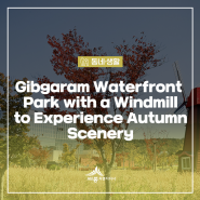 Gibgaram Waterfront Park with a Windmill to Experience Autumn Scenery