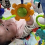 4개월 아기 발달 : 손으로 만지는게 좋아요! 아기체육관