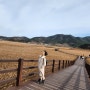 순천여행지 (순천만습지, 순천만국가정원), 순천맛집(전라도밥상)