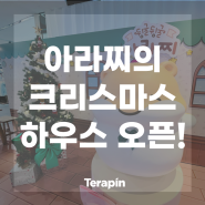 [테라핀 라이프] 아라찌의 크리스마스 하우스 오픈!