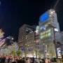 2022년 11월 교토&오사카 여행 (굿 네이처 호텔 교토)
