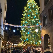 크리스마스에 진심인 도시 : 프랑스 Strasbourg 스트라스부르🎄🎅🏻