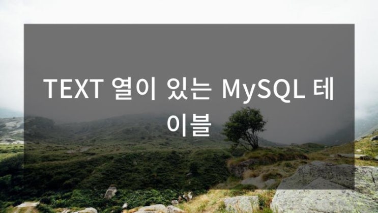 TEXT 열이 있는 MySQL 테이블 : 네이버 블로그