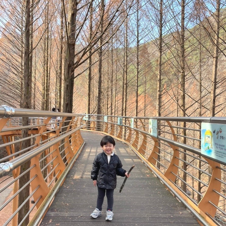 대전 아이와 주말나들이장소 추천 장태산 자연휴양림