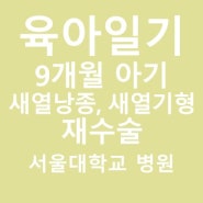 [육아일기] 서울대학교 어린이병원 새열낭종 재발, 재수술 4박 5일 입원
