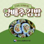 <카드 뉴스>건강한 다이어트 식단_양배추 김밥