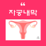 자궁내막 : 자궁내막암 자궁내막증 증상 용종 폴립 치료 임신 출혈