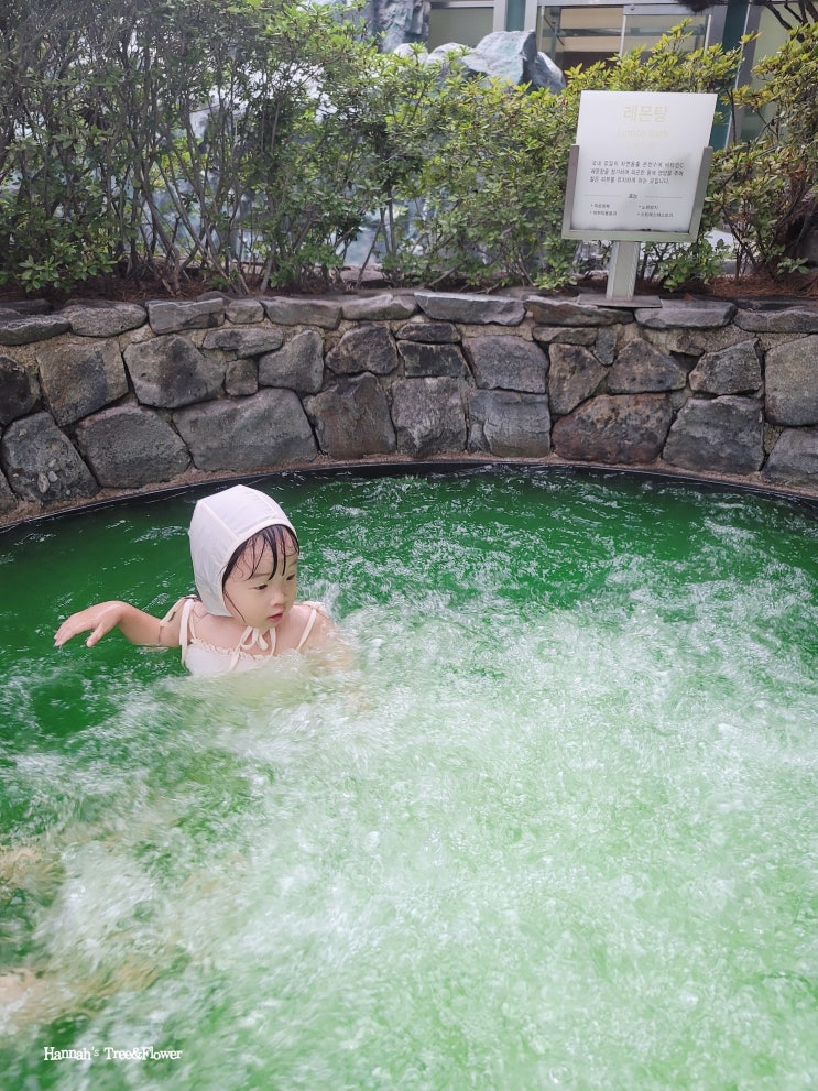 울진 덕구온천 리조트 콘도 너무 좋았던 스파월드 : 네이버 블로그