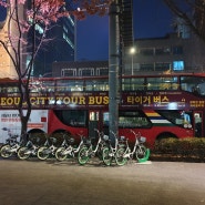 서울시티투어버스 한강 남산 야경투어 타이거버스