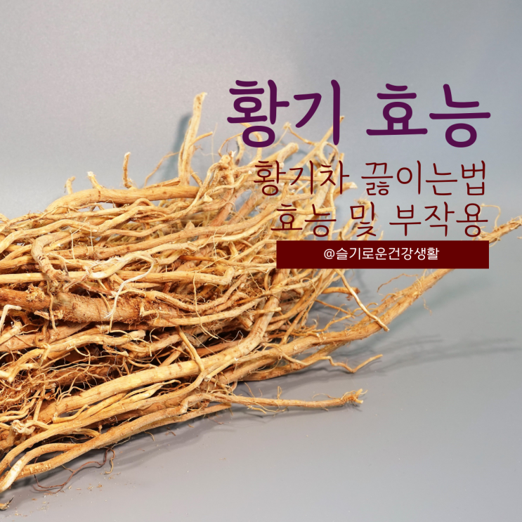 황기효능 황기차 부작용 : 네이버 블로그