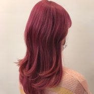 [건대역 미용실]핑크,바이올렛,핑크바에올렛,핑크레드