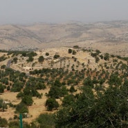 요르단의 5대 성지-엘리야의 언덕(Tell mar Elias)