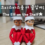 크리스마스를 더 특별하게! 엘프 온 더 쉘프(The Elf on the Shelf) 산타를 도와주는 선반 위의 요정