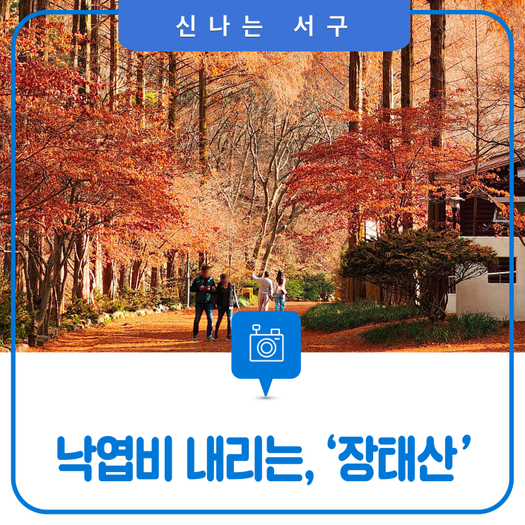 낙엽비 내리는 대전 서구 명소, '장태산자연휴양림'