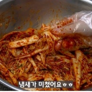 겉절이 만드는 법 칼국수집 꿀팁 레시피 알배추 요리!!